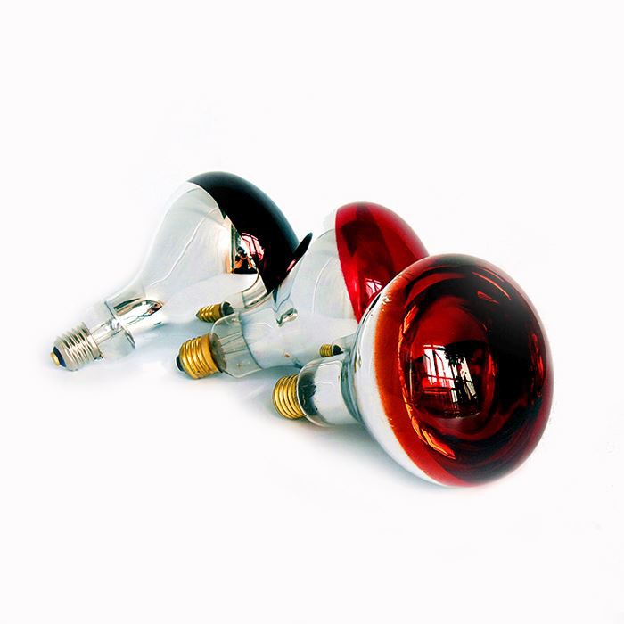 details of 250 watt heat lamp bulb f