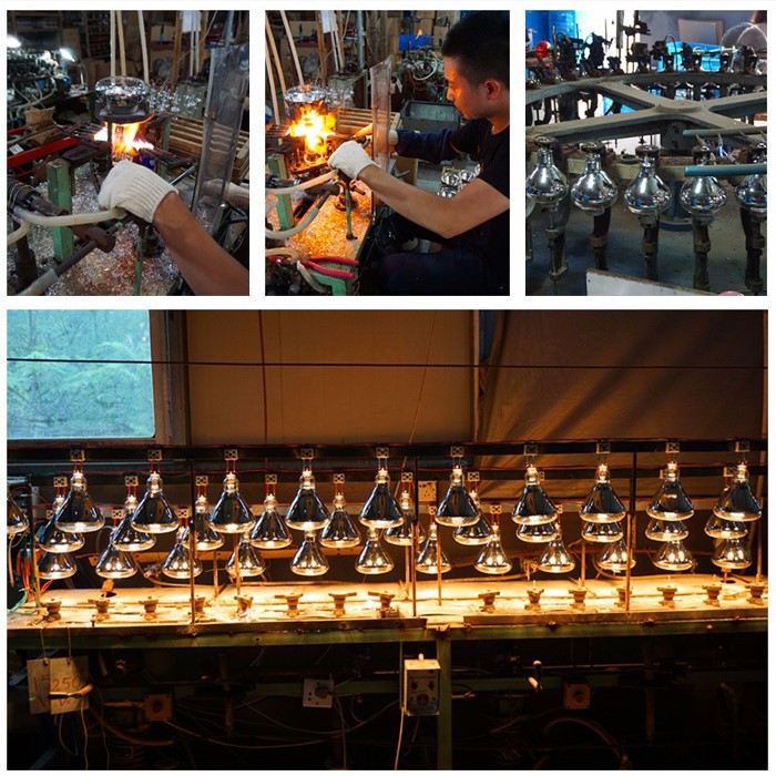 Factory of infra red lamp therapy Factory of infra red lamp therapy